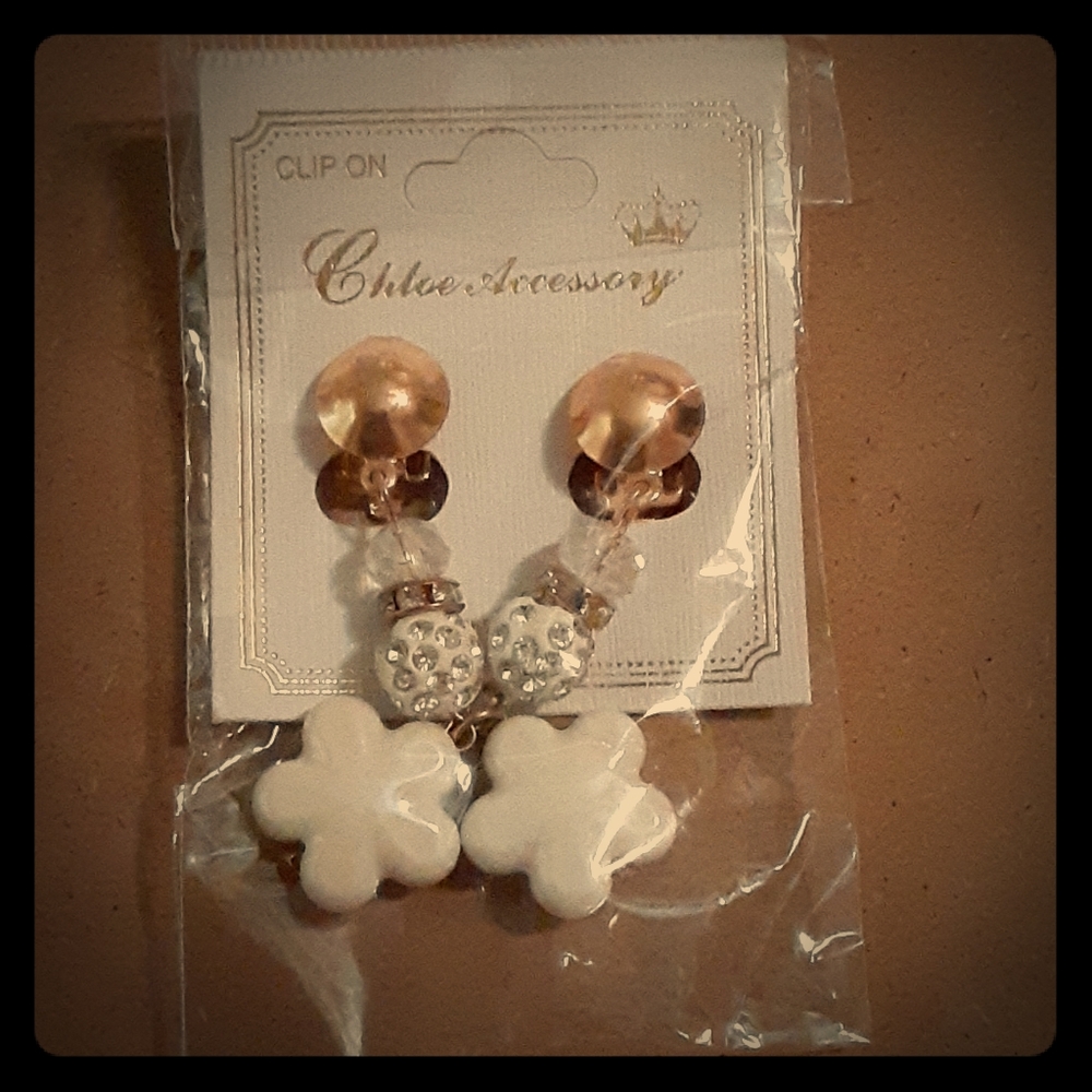 Chloe Accessory Earrings